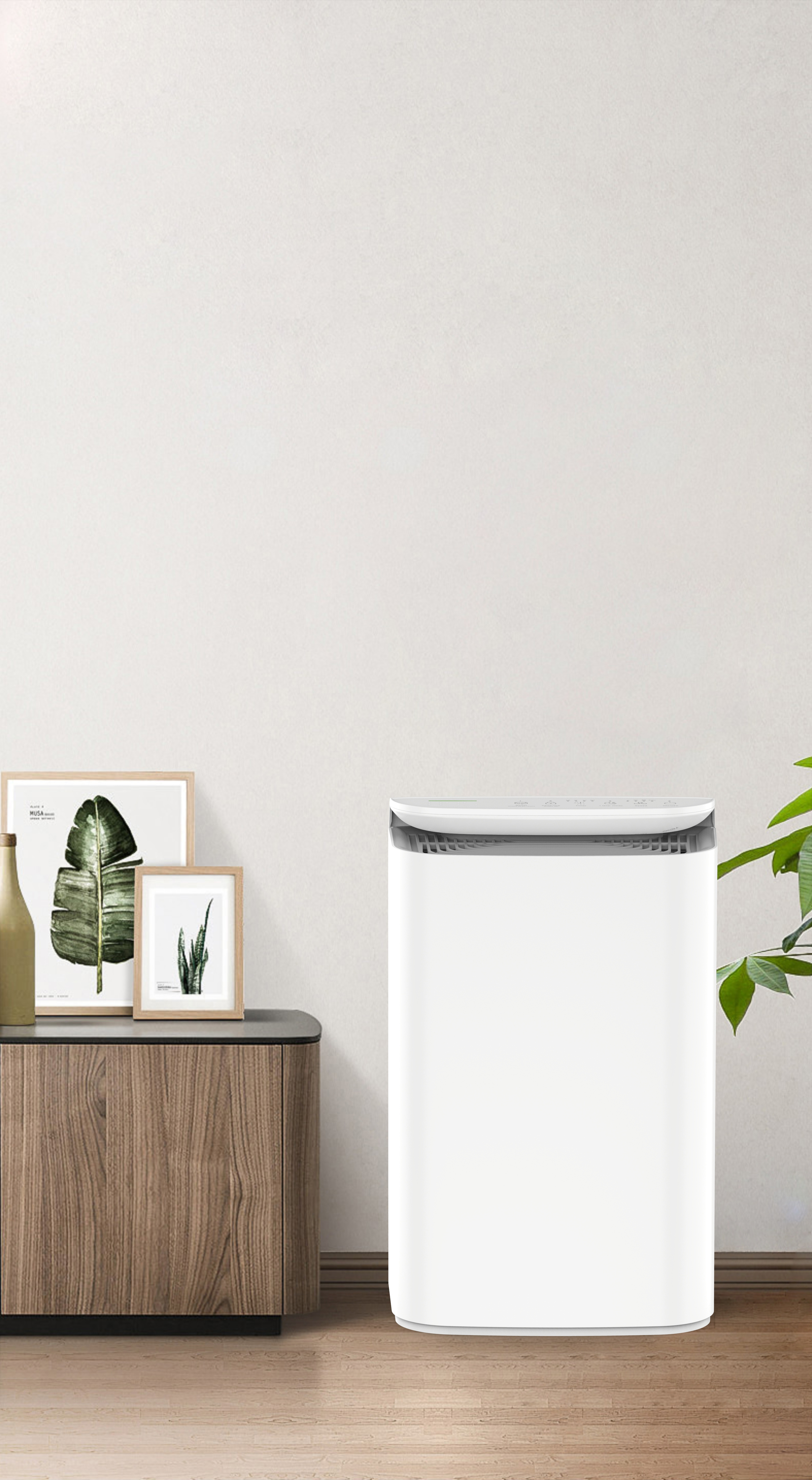 음이온 기술을 업그레이드 숲 BKJ-16B의 신선한 호흡