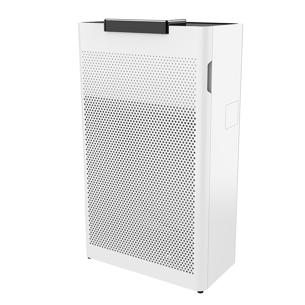 포름 알데히드를 가장 잘 제거하고, 신선한 공기를 즐기십시오