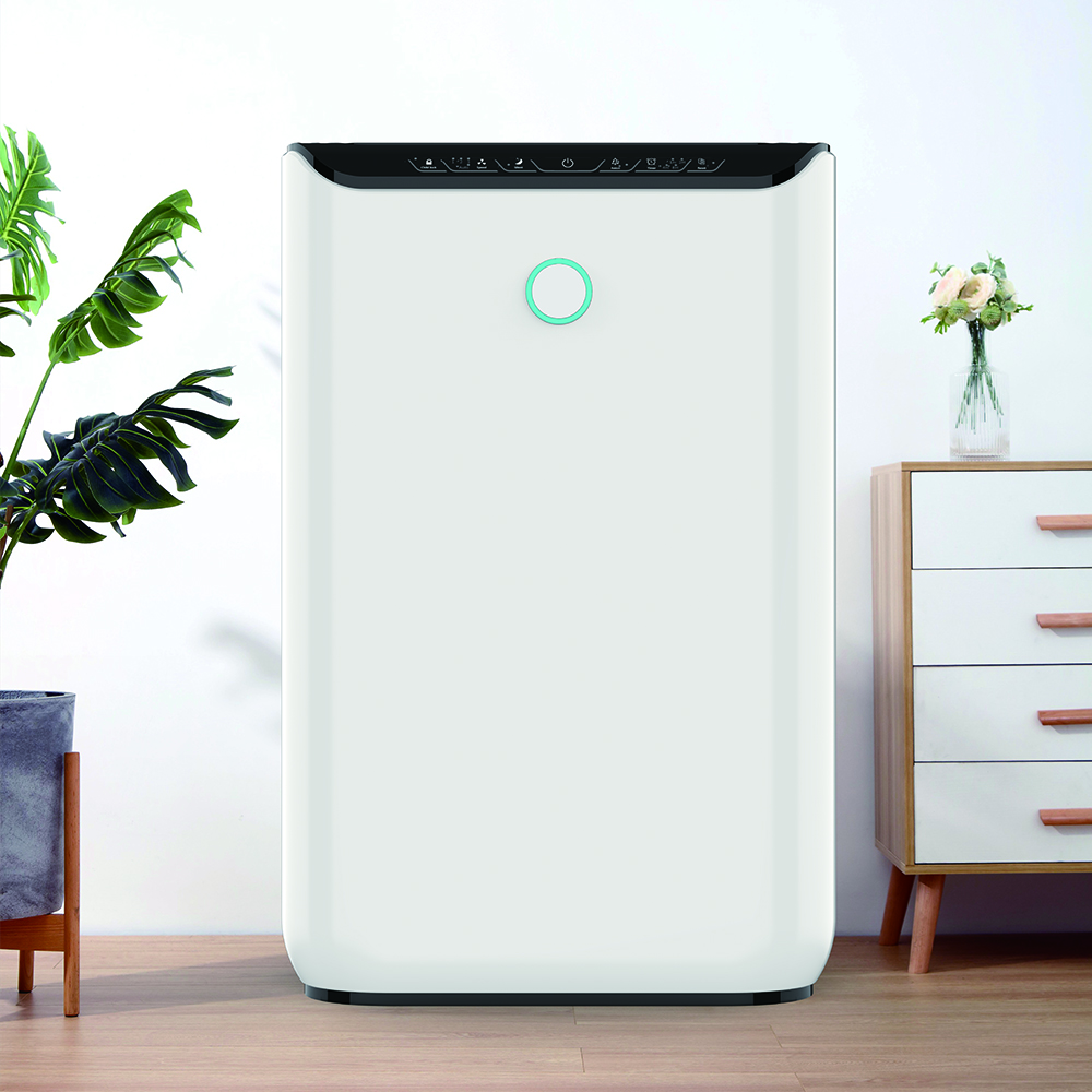 포름 알데히드를 가장 잘 제거하고, 신선한 공기를 즐기십시오