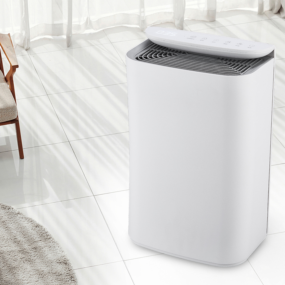 음이온 기술을 업그레이드 숲 BKJ-16B의 신선한 호흡