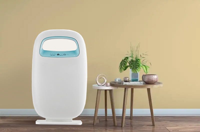 포름 알데히드를 가장 잘 제거하고 신선한 공기를 즐기십시오