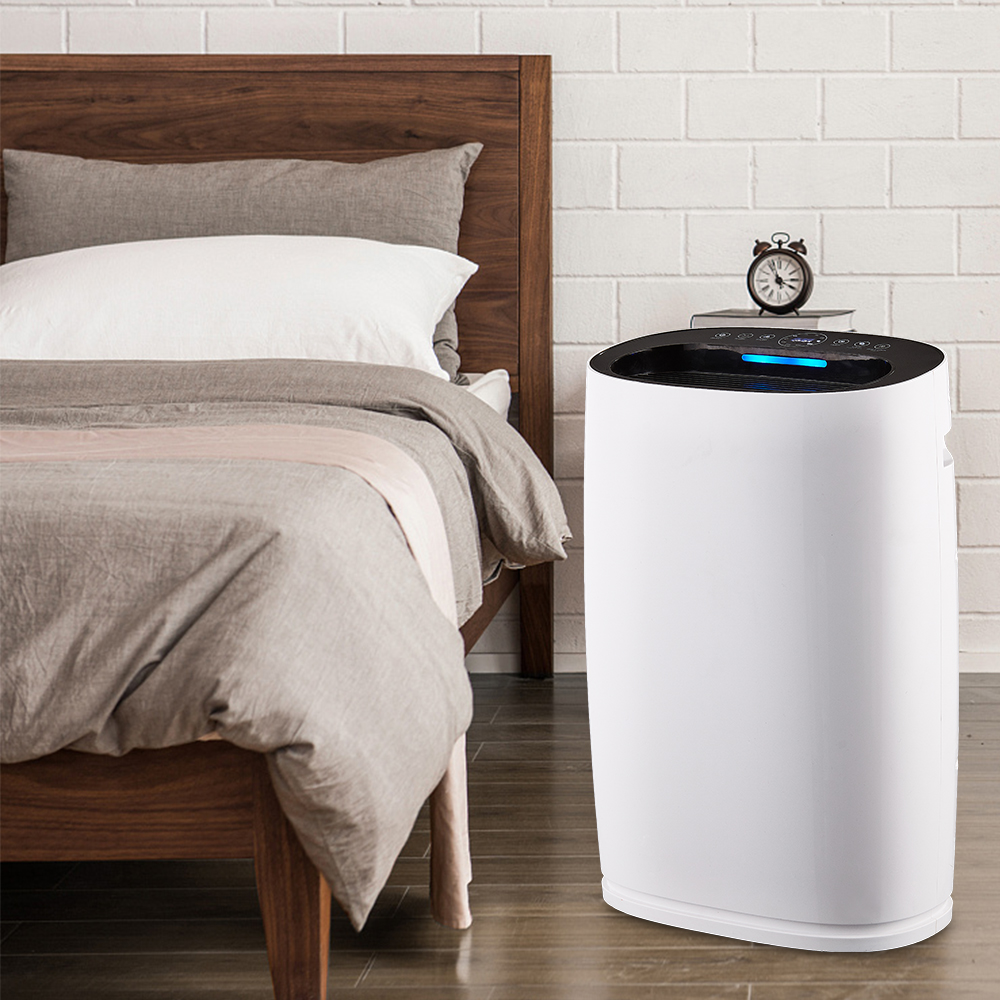 포름 알데히드를 가장 잘 제거하고 신선한 공기를 즐기십시오